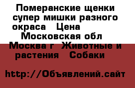 Померанские щенки супер мишки разного окраса › Цена ­ 23 000 - Московская обл., Москва г. Животные и растения » Собаки   